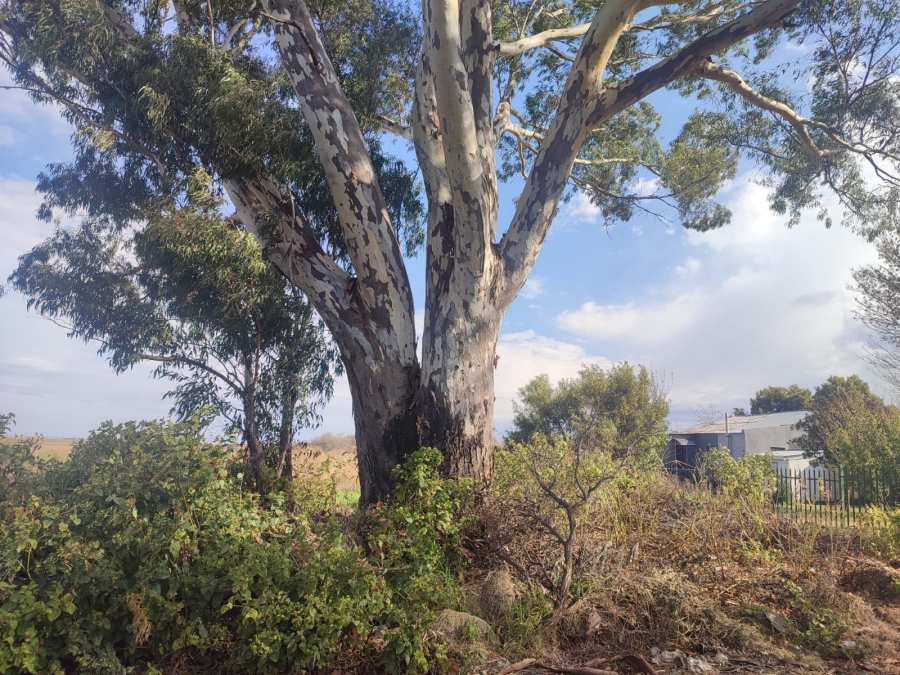 0 Bedroom Property for Sale in Koster North West
